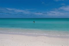 Nageur dans la baie de Mouli. (© Author's Image)