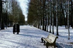 Jardin du palais Catherine.