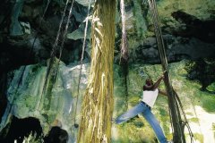 Grotte du parc national Los Haïtises. (© Sir Pengallan - Iconotec)