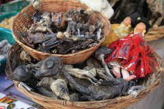 MERCADO DE LAS BRUJAS