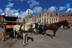 Grand-Place (Grote Markt). (© Lawrence BANAHAN - Author's Image)