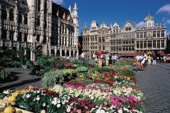 Le marché aux fleurs sur la Grand-Place. (© Henri Conodul - Iconotec)