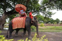 ELEPHANT ROYAL KRAAL