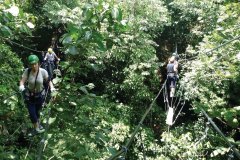 Ponts de singes à l'Éco-reserva Mbatoví.