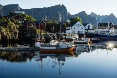 Reine