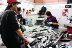 Marché de poisson d'Olhão.