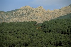 Chaîne du Rif. (© Thierry Lauzun - Iconotec)