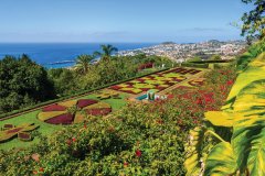 Jardins tropicaux à Funchal.