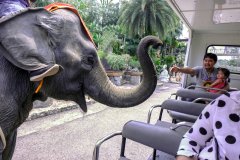 NONG NOOCH TROPICAL GARDEN