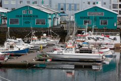 VIEUX PORT ET BALEINIERS