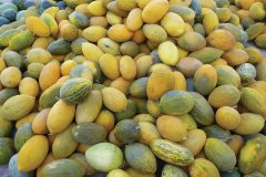 Melons de Mazar-e-Charif.