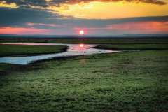 Parc national de Gorongosa.