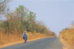 Sur une route de Casamance.