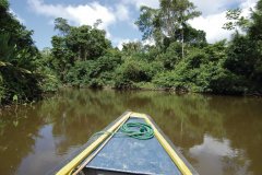 Exploration du Río Napo sur une pirogue à moteur.