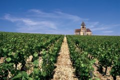 L'église de Préhy, dans le vignoble de Chablis. (© AM stock nature)