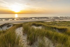 Dunes de Fort-Mahon-Plage. (© Alonbou  - stock.adobe.com)