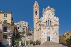 Cervo.