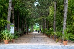 JARDIN BOTANIQUE YVES ROCHER