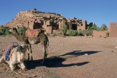 Ksar d'Aït Ben Haddou.