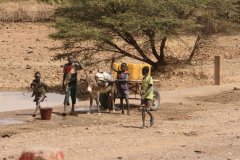 Les enfants participent au travail de la communauté.