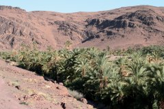 Oasis de Fint.