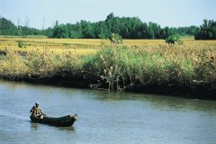 Pirogue naviguant en Casamance.