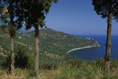 Tyrosa Pouna Kaoka.