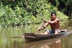 Navigation en pirogue dans le parc national Yasuni.