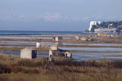 Marais salants à la frontière croate.