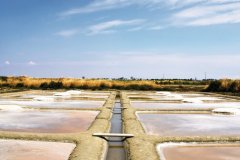 Marais salants de Guérande (© FRANCK DIAPO - FOTOLIA)
