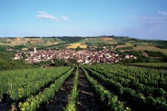 Vue de Chablis. (© AM stock nature)