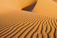 Dunes de Maspalomas. (© Author's Image)
