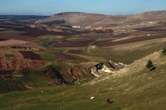Campagne vallonnée et agricole de la région de Balţi.