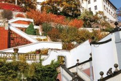 JARDIN ROYAL (KRALOVSKÁ ZAHRADA)