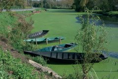 CAMPING LA VENISE VERTE