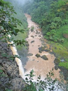 Chute d'eau dans la jungle.