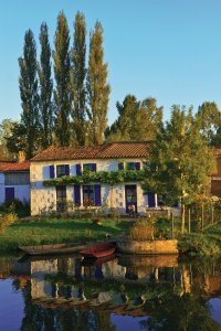<p>Coulon dans le marais poitevin</p>