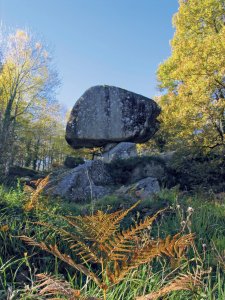 <p>La Peyro Clabado, dans le Sidobre</p>