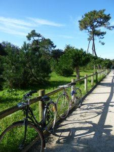<p>Pistes cyblables, Les Sables d'Olonne</p>