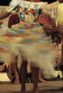 <p>Danseurs de séga et maloya.</p>