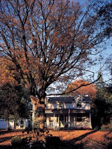 Niagara-on-the-Lake en automne.