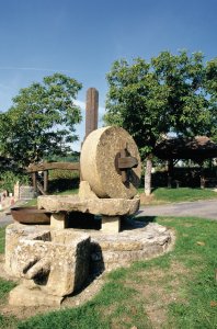 Moulin à huile de noix