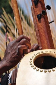 Joueur de kora en Guinée