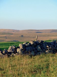 L'Aubrac