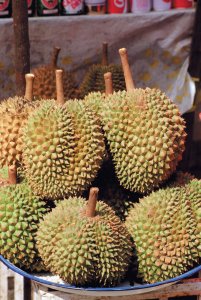 <p>Le durian se mange avec du jus de coco et ses graines peuvent être grillées.</p>