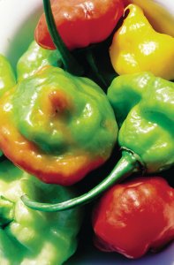 <p>Vente de piments au marché de Kingston.</p>