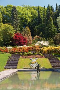 Jardin botanique.