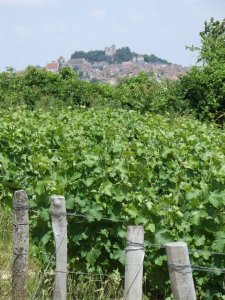 Rencontre sancoins