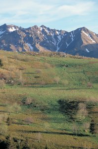 <p>Paysage</p>