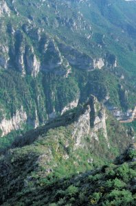 Gorges du Tarn
